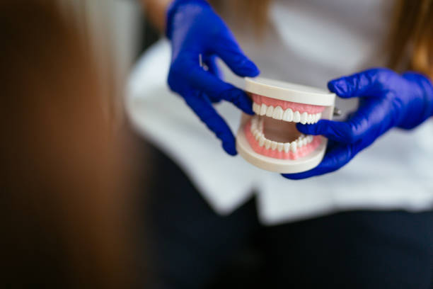 Professional  Holistic Dental Services in Cuba City, WI